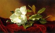 unknow artist Still life floral, all kinds of reality flowers oil painting 06 china oil painting artist
